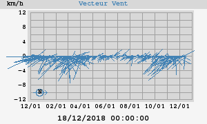 Wind Vector